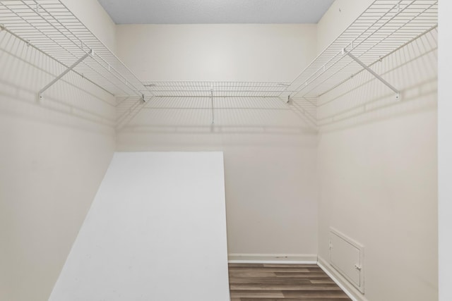 walk in closet featuring dark hardwood / wood-style flooring