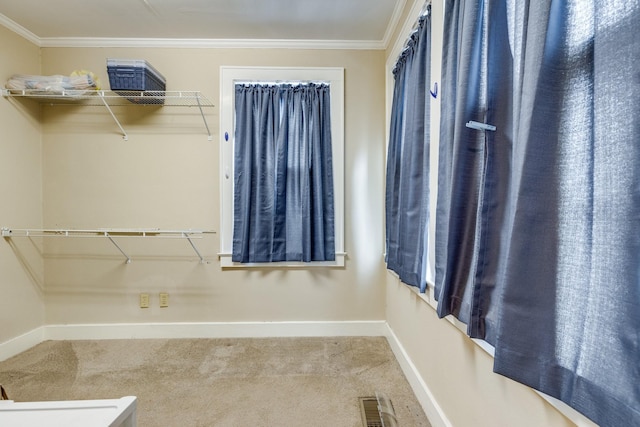 spacious closet with carpet flooring