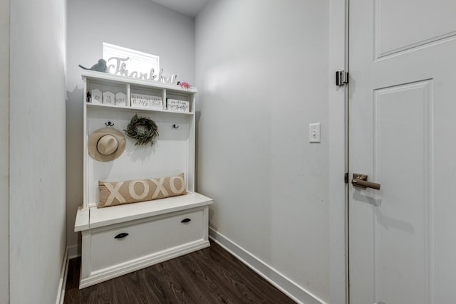 mudroom with dark wood-type flooring