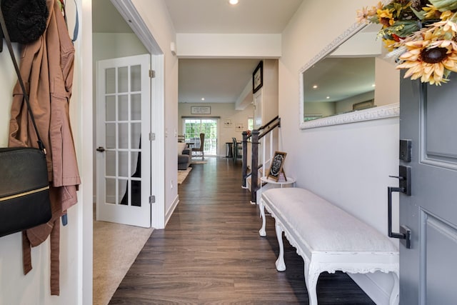 foyer featuring dark wood-type flooring