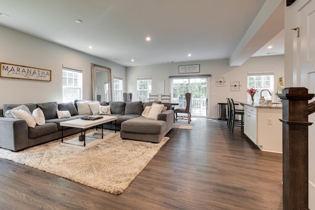 living room with dark hardwood / wood-style floors