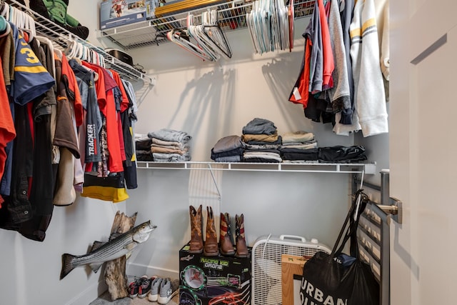 view of spacious closet