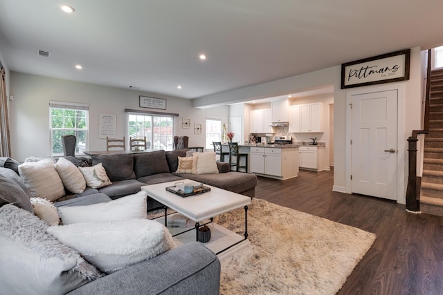 living room featuring dark wood-type flooring