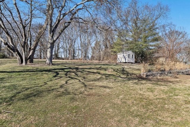 view of yard featuring a shed