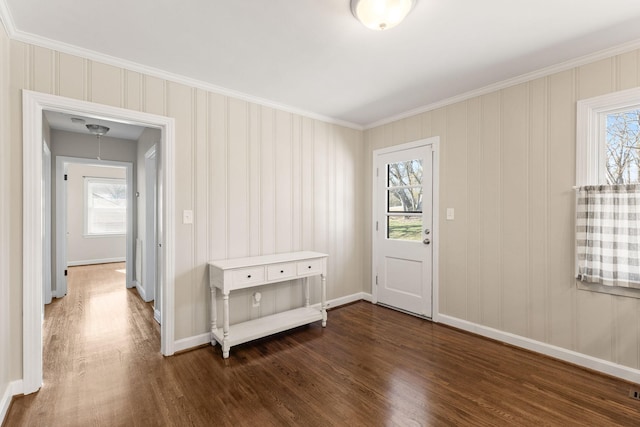 doorway featuring dark wood-type flooring, a wealth of natural light, and ornamental molding