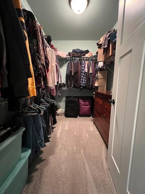 spacious closet with carpet