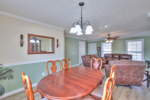 dining area with ornamental molding, ceiling fan with notable chandelier, a textured ceiling, and light hardwood / wood-style flooring