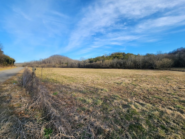 Listing photo 3 for 0 Cathcart Rd, Frankewing TN 38459