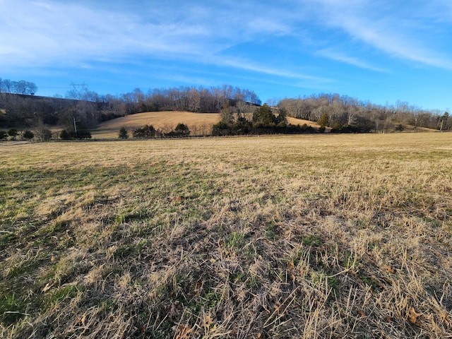 0 Cathcart Rd, Frankewing TN, 38459 land for sale