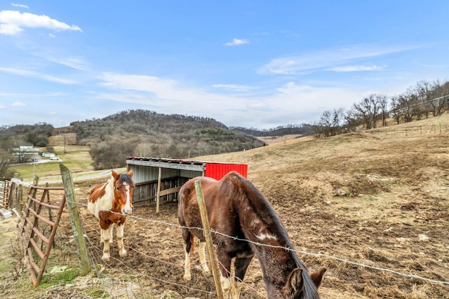 view of horse barn with a mountain view and a rural view