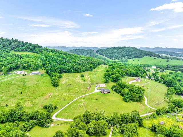 bird's eye view with a mountain view and a rural view