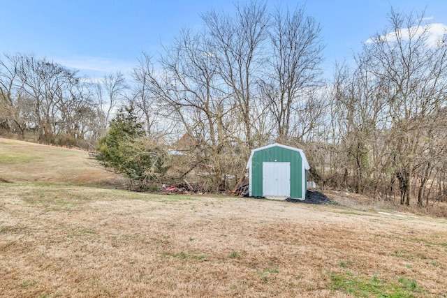 view of yard with a storage unit