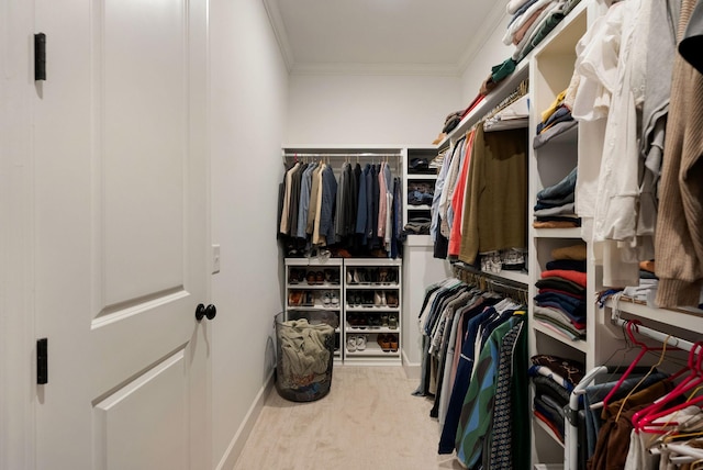 view of spacious closet