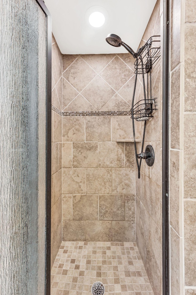 bathroom featuring a shower with shower door