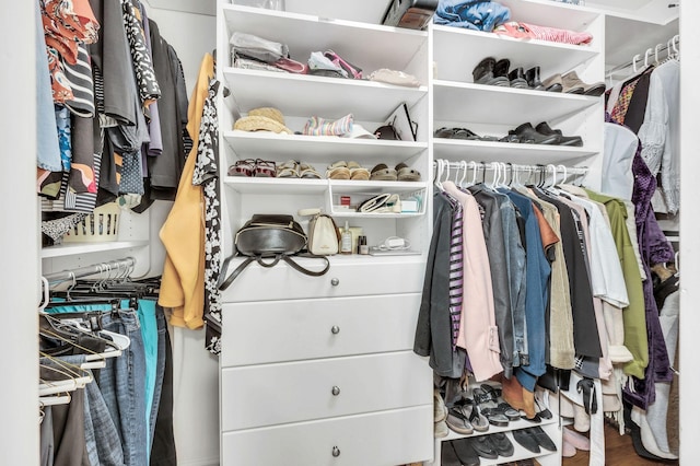 view of walk in closet