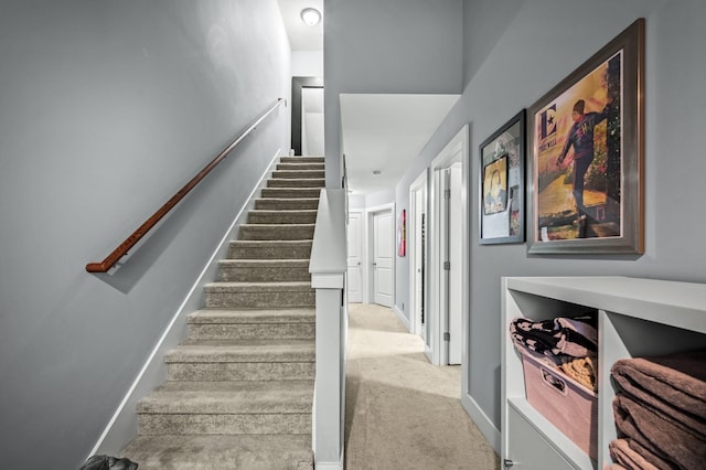 stairs featuring carpet floors