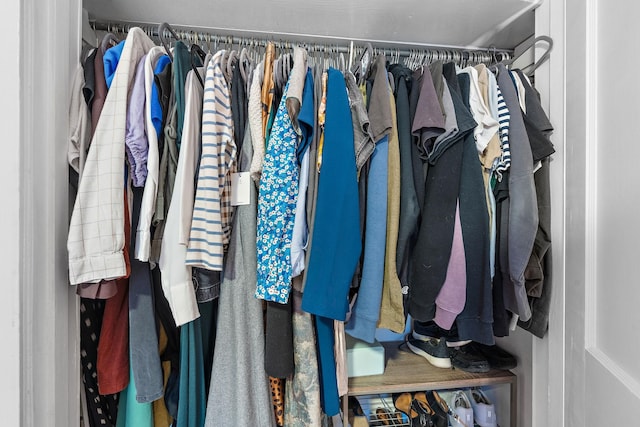 view of spacious closet