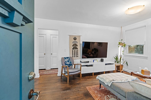 living room featuring dark hardwood / wood-style flooring