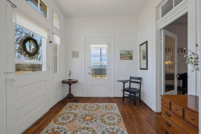 entrance foyer featuring dark hardwood / wood-style flooring