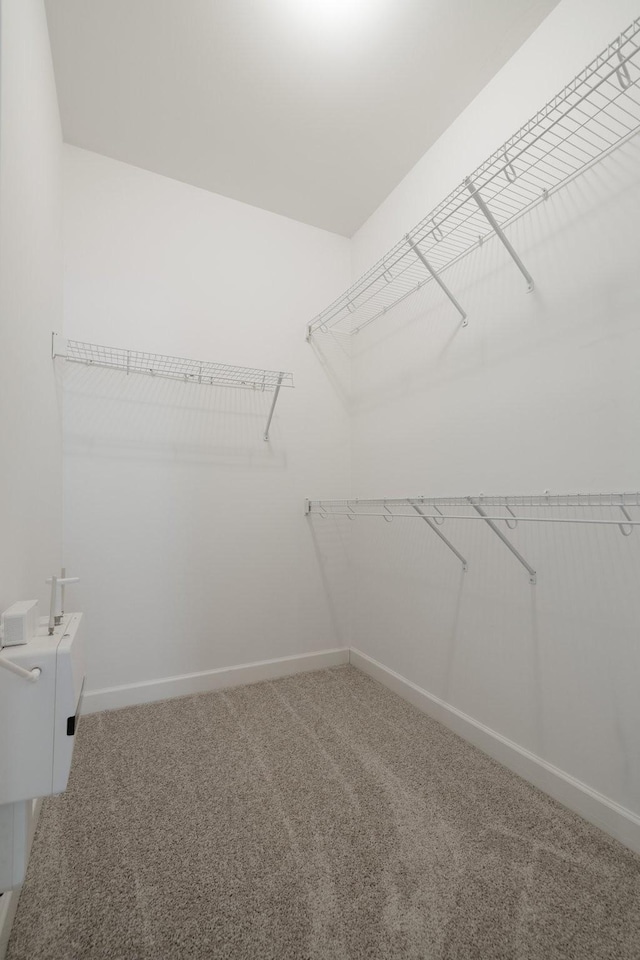 walk in closet featuring carpet flooring