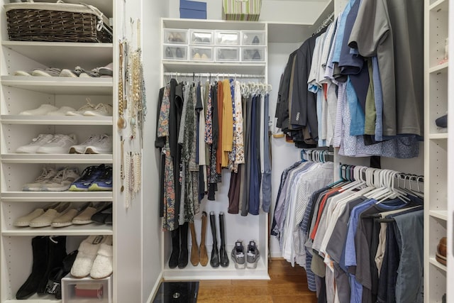 view of walk in closet