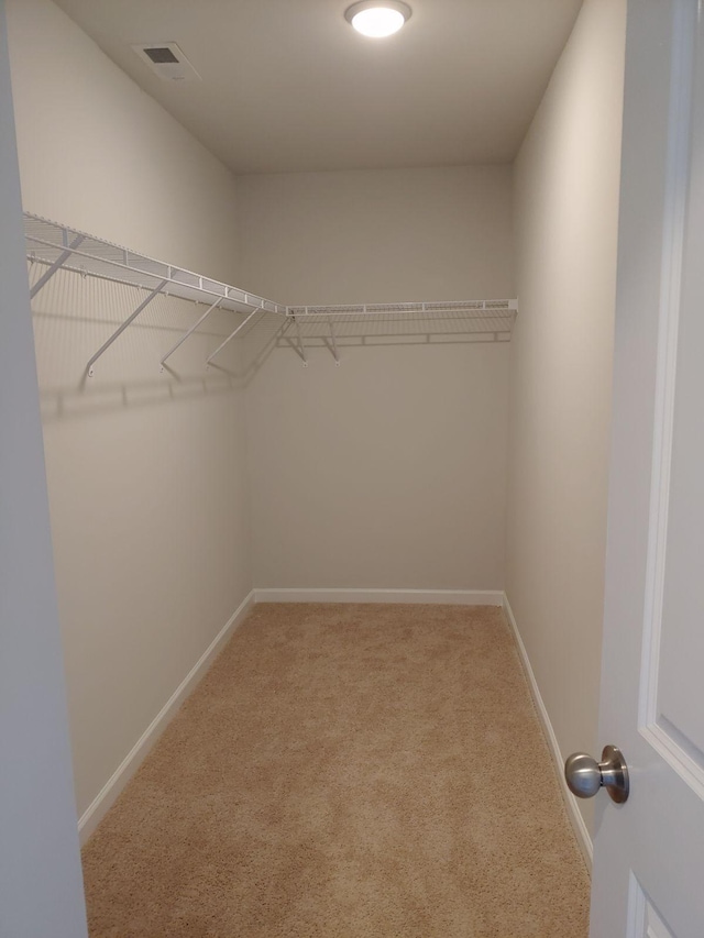 walk in closet featuring carpet flooring