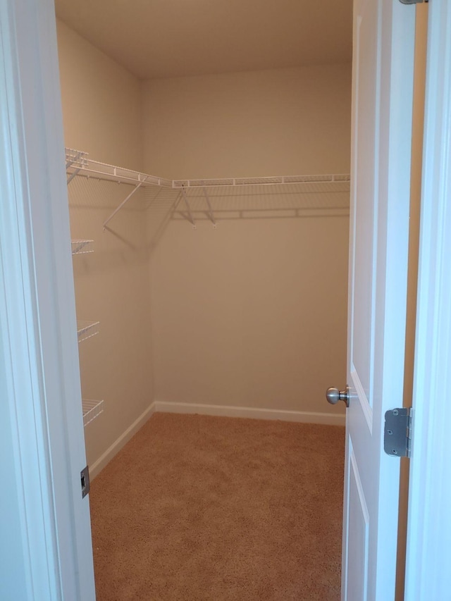 spacious closet with carpet flooring