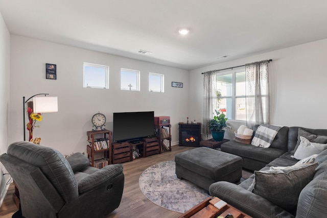 living room featuring hardwood / wood-style floors