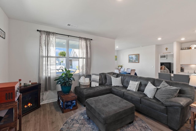 living room featuring hardwood / wood-style floors