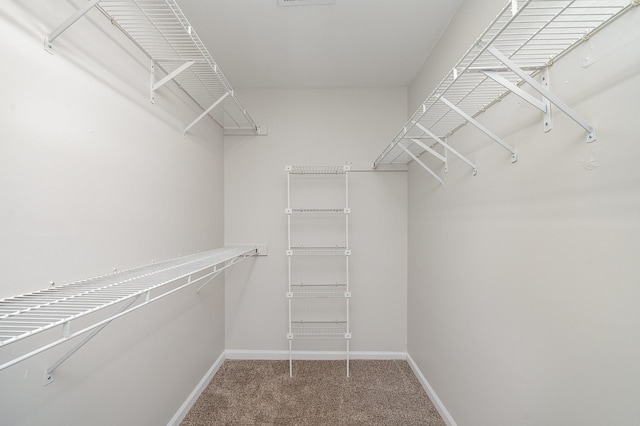 walk in closet with carpet floors