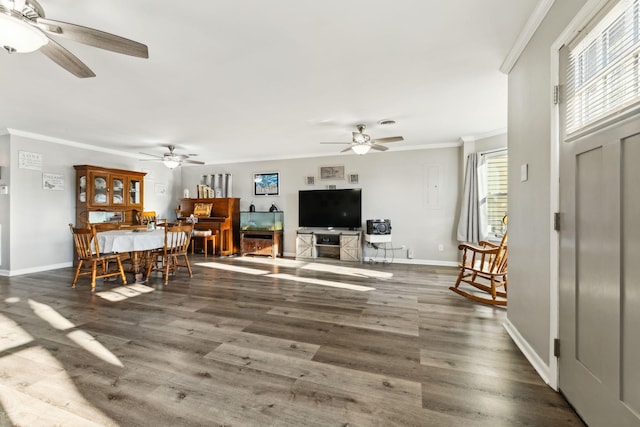 living room featuring a fireplace, crown molding, dark wood-type flooring, and ceiling fan