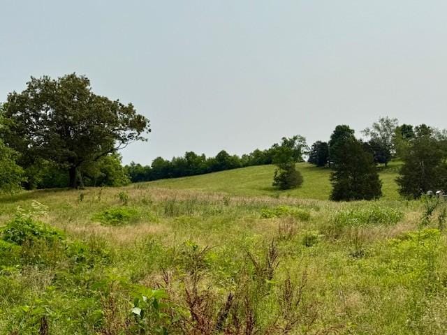 1 Riddle Rd, Shelbyville, TN 37160 - photo 3