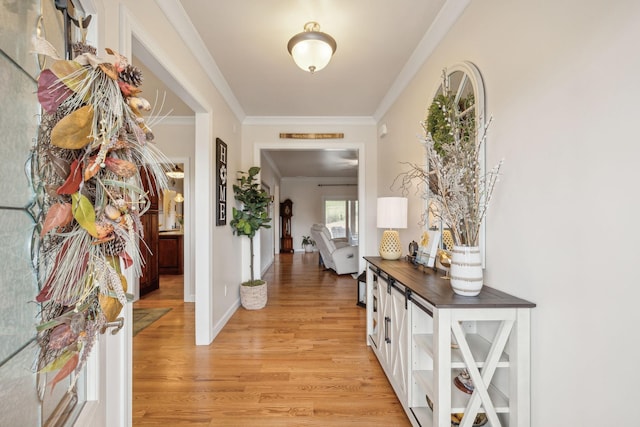 foyer featuring crown molding and light wood-type flooring