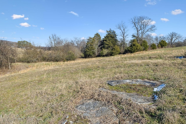 view of landscape featuring a rural view