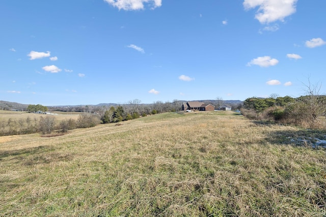 view of yard featuring a rural view