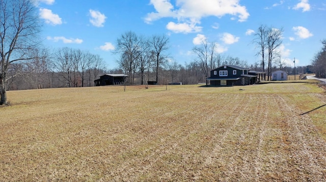 view of yard with a shed