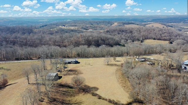 aerial view with a rural view