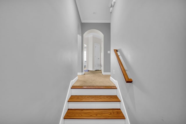 stairs with crown molding