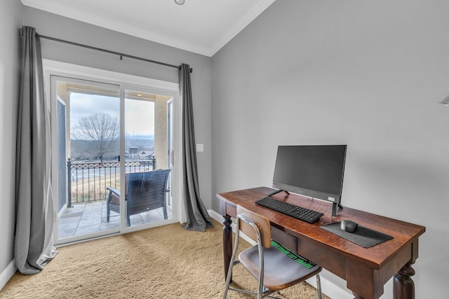 office featuring crown molding and carpet floors