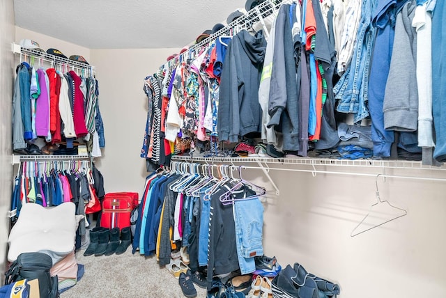 walk in closet featuring carpet flooring