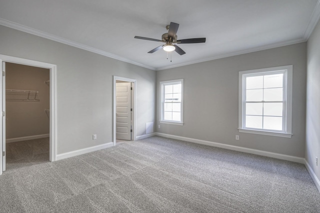 unfurnished bedroom with ornamental molding, carpet flooring, ceiling fan, and a spacious closet