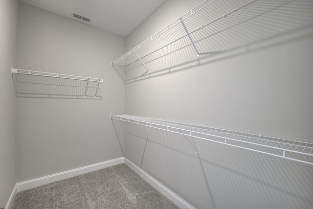 spacious closet featuring carpet floors