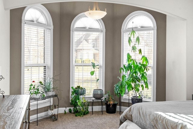 carpeted bedroom featuring multiple windows