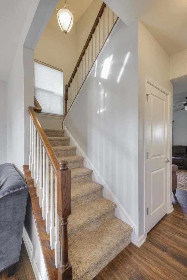 stairway with wood-type flooring