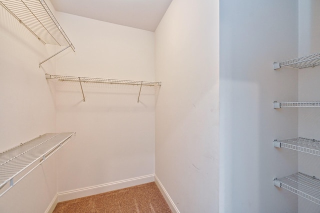 spacious closet with carpet