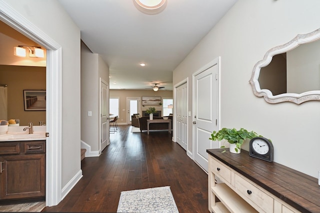 hall featuring sink and dark wood-type flooring