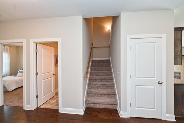 stairway featuring wood-type flooring