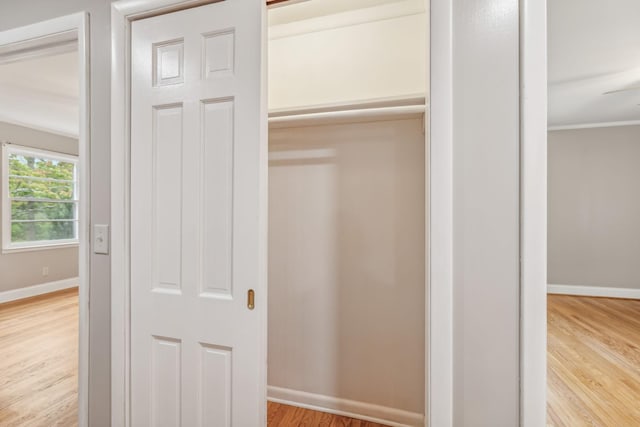 view of closet