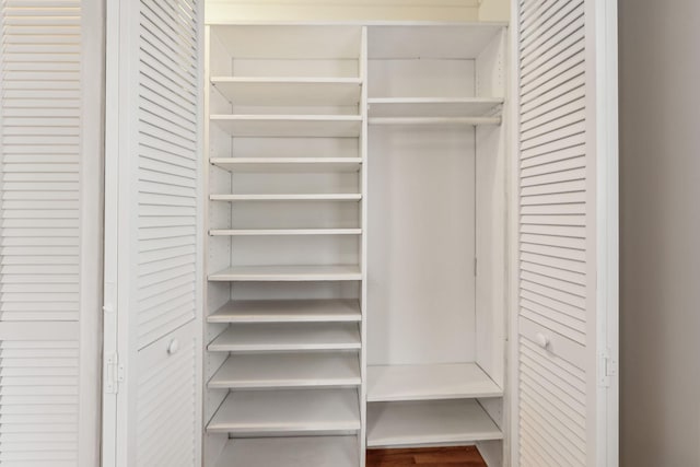 view of closet