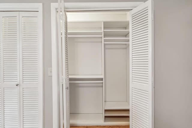 view of closet